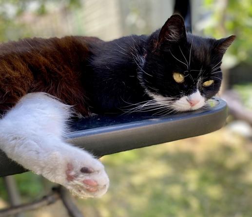 Mimi contemplating life…