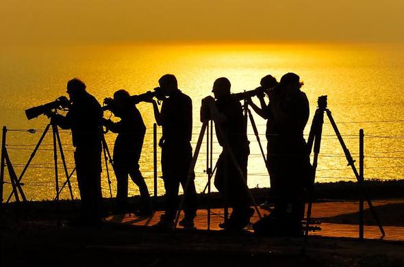 Silhouette of six photographers standing at the ocean with the sunset setting behind them casting the water golden yellow. They are standing behind their cameras mounted on tripods. Some of them are looking through their cameras. All lenses, mostly tele length, are pointing at the same direction.