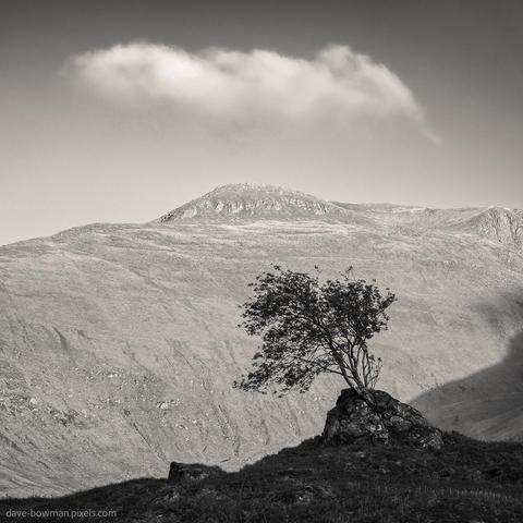 A photograph of a lone tree standing in silhouette against the setting sun, with the mountains of Glen Shiel forming a dramatic backdrop. The scene is presented in monochrome, emphasising the contrast between the tree’s delicate form and the bold shapes of the surrounding landscape. The composition is simple and uncluttered, highlighting the stillness of the moment. Soft light from the low sun casts a warm glow across the scene, enhancing the sense of quiet and calm in the Northwest Highlands of Scotland.