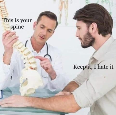 doctor pointing at spine 'this is your spine' - patient says 'keep it, I hate it'