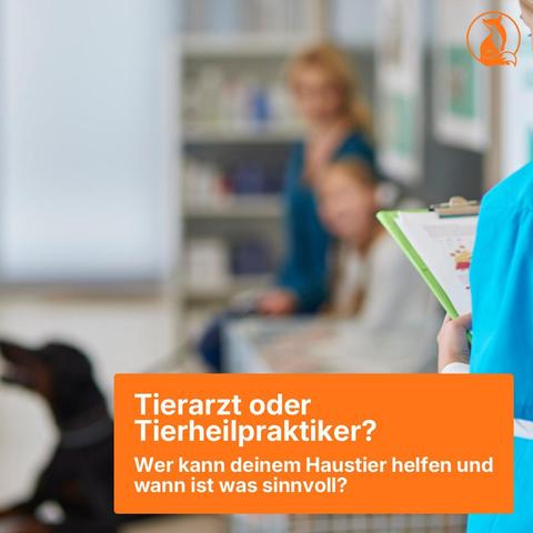 Bewertungen zu alltagsfuchs.de