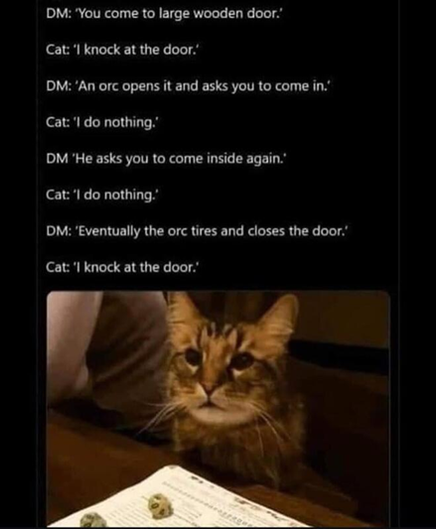 DM: You come to a large wooden door.
Cat: I knock at the door.
DM: An orc opens it and asks you to come in.
Cat: I do nothing.
DM: He asks you to come inside again.
Cat: I do nothing.
DM: Eventually the orc tires and closes the door.
Cat: I knock at the door.