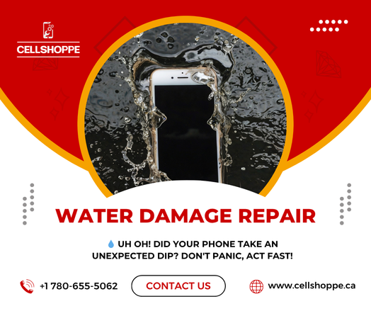 water damage repair near edmonton