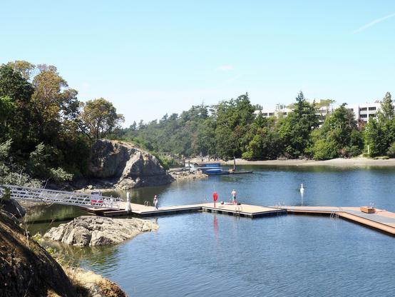 An extensive dock structure for sunbathing & swimming at Banfield Park in the Gorge in Victoria, BC
