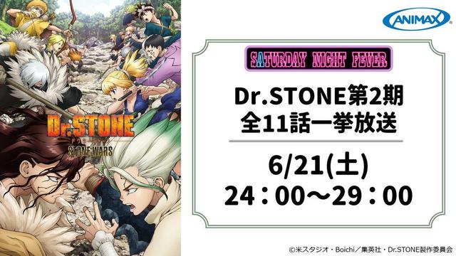 Don't Miss the Dr. STONE Marathon on Saturday Night!