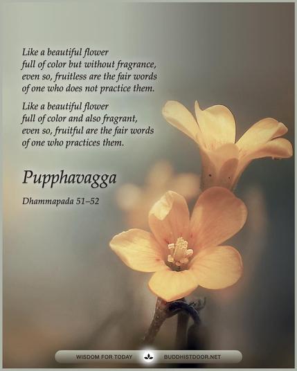 Buddhistdoor Quote for Today: 

Like a beautiful flower  full of color but without fragrance,  even so, fruitless are the fair words  of one who does not practice them.
Like a beautiful flower  full of color and also fragrant,  even so, fruitful are the fair words  of one who practices them. — Pupphavagga, Dhammapada 51–52

🔗 Explore more at BDG: https://buddhistdoor.net