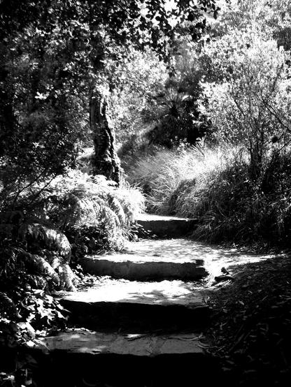 petit chemin avec degrés 2009