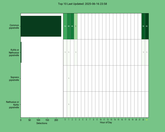 Diagramm der Fledermäuse vom 16.06.2025