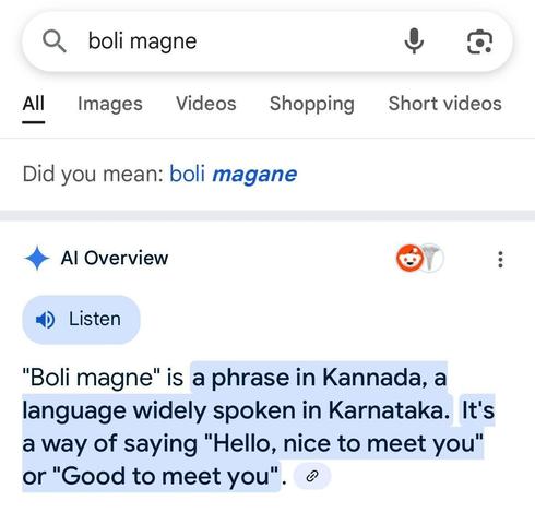 A screenshot of a Google search page. At the top, there is a search bar with the text "boli magne" entered. Below the search bar, there are tabs for "All," "Images," "Videos," "Shopping," and "Short videos," with "All" selected. A suggestion below the search bar reads "Did you mean: boli magane," with "magane" highlighted in blue. The AI Overview section is visible, featuring a blue diamond icon and a "Listen" button. The AI Overview text explains that "Boli magane" is a phrase in Kannada, a language widely spoken in Karnataka, and it is a way of saying "Hello, nice to meet you" or "Good to meet you." The text is highlighted in blue, and there is a link icon at the end.