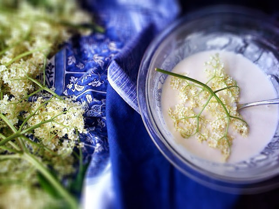 Elderberry Flower Fritters batter