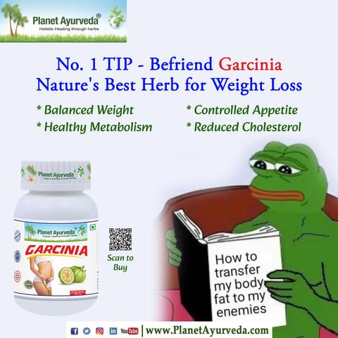 Befriend Garcinia Nature's Best Herb for Weight Loss

#WeightManagement #GarciniaBenefits #FatBurningHerbs #SlimmingWithAyurveda #SlimmingSupplements