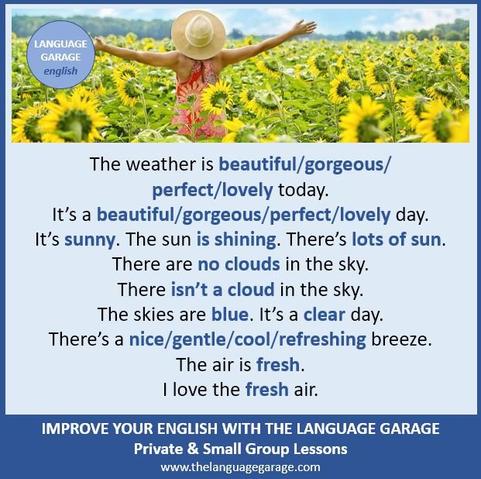 English vocabulary for summer weather, image of a woman in a field of flowers