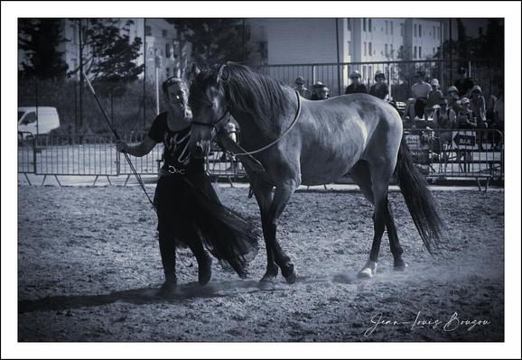 The black-and-white photograph captures a striking moment of connection between a person and a horse. The grayscale tones lend a timeless, almost nostalgic atmosphere to the scene. The horse, standing calmly with its head gently lowered, exudes strength and grace, its sleek coat catching subtle highlights that emphasize its muscular form.
The person beside the horse appears to be guiding or communicating with it, holding what seems to be a lead or reins in one hand while walking confidently. The attire reminds one of equestrian or traditional working clothing, with loose, flowing elements that add a sense of movement even in this still frame.
In the background, there is a fenced area and a somewhat blurred audience, suggesting this could be an event or performance. The setting, likely an outdoor arena, is textured with dusty or sandy ground that hints at the rhythms and traditions of horse handling or training.
Artistically, the image captures the intimate bond between humans and animals, highlighting themes of trust, partnership, and mutual respect. The monochromatic choice enhances emotional depth, focusing viewers on the expressions and body language without the distraction of color.
Culturally, horseback riding and training often embody discipline and heritage, sometimes linked with specific traditions or ceremonies. 