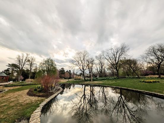 Pond