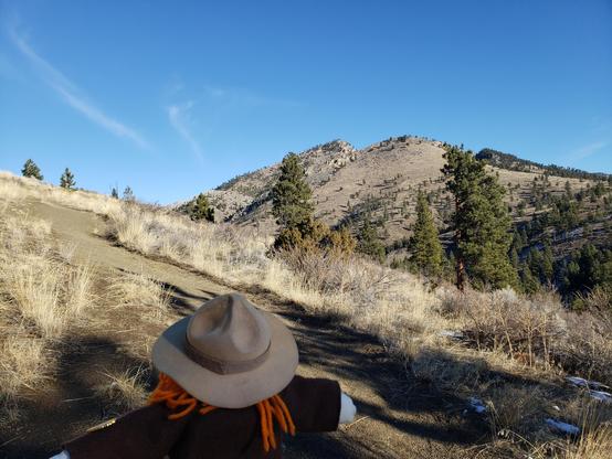 Ranger Sarah keeps climbing. Hunters Gulch Trail does not travel through the gulch, but above it the entire time.
— at Helena-Lewis and Clark National Forest.
