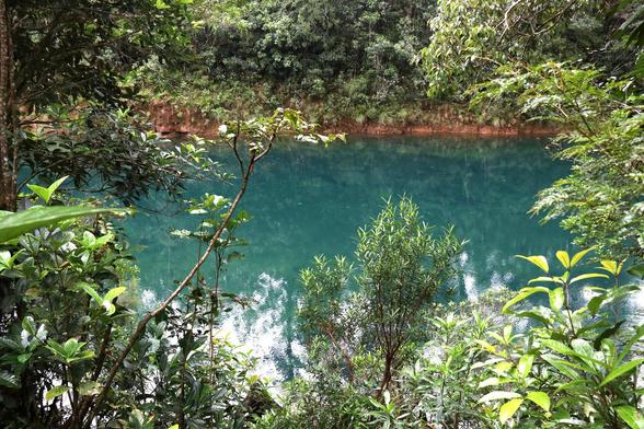 See mit türkisgrünem Wasser, umrahmt von grünen Pflanzen. 
Foto: T. Wasilewski