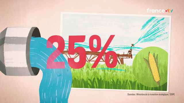 25% de la consommation totale d'eau en France est utilisée pour seulement arroser le maïs conventionnel (= hybride), qui ne sert pas majoritairement à l'alimentation directe.