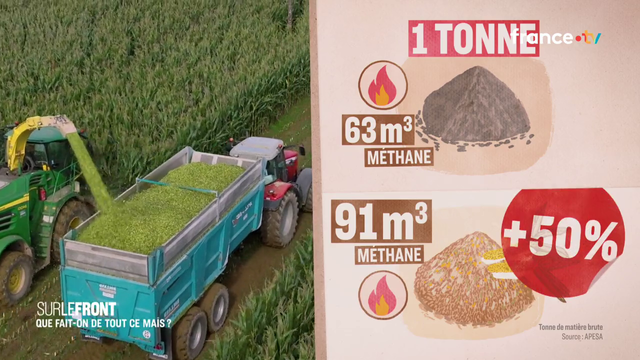 1 t de maïs produit plus de méthane qu'1 bouse de vache -> #profit rendement = tension concurrence foncière : pouvoir d'achat > agriculteurs produisant maïs pour humains/ruminants.