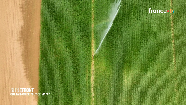 France en été -> besoin accru d'eau = irrigation = ok climat tropical mais France = sécheresse -> pompage : rip rivières fleuves nappes phréatiques avec construction #btp bassins pour irrigation (cf production majoritaire pour le gaz).