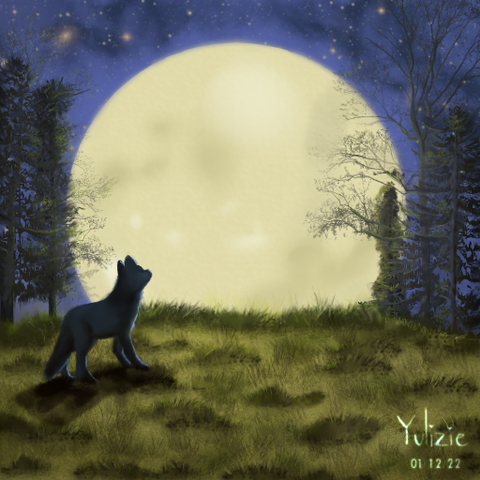 Digital Painting of a wolf looking the moon