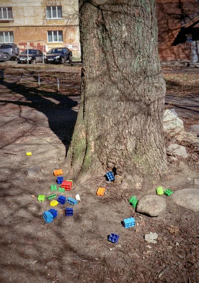 A thick tree trunk with colorful Lego pieces lying nearby. A thick shadow falls from the tree trunk. Houses and cars are visible behind it.
