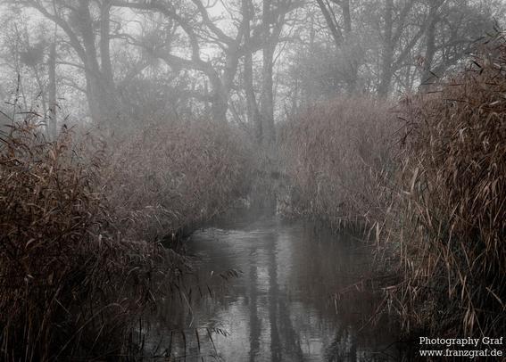 A tranquil scene is captured in this image of a stream meandering through a foggy forest. The mist adds an ethereal quality to the landscape, shrouding the tall trees in a mysterious veil. The subdued color palette of greys and blacks enhances the sense of serenity and solitude in the scene. The winter setting is evident from the bare branches and chilly atmosphere. The water glistens softly in the subdued light, reflecting the mist above. This natural landscape evokes a sense of peace and introspection, inviting viewers to immerse themselves in the beauty of nature.