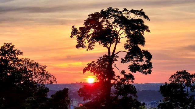 Kitschiges Foto mit der rötlichen Sonnenscheibe, die die Anhöhe hinter dem Moldautal berührt. Rechts von ihr ein hoher Baum mit schütteter, mehrteiliger Krone, der etwas an eine Akazie in der Savanne erinnert. Links und rechts weitere Baum-Silhouetten. Der Himmel ist gelb und orange.