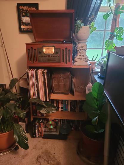 Brown wooden record player, books, and plants on shelves in a cozy room.