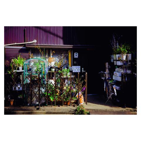 This is a color photo of a small urban space in Nagoya, overflowing with potted plants and miscellaneous garden items. In front of a dark building with vertical purple siding, a collapsible fence frames a dense arrangement of green plants, plastic pots, and a tiny transparent greenhouse. Some plants are wilting while others thrive in the sunlight. To the right, an old bicycle leans against a stack of white containers used as makeshift plant stands.