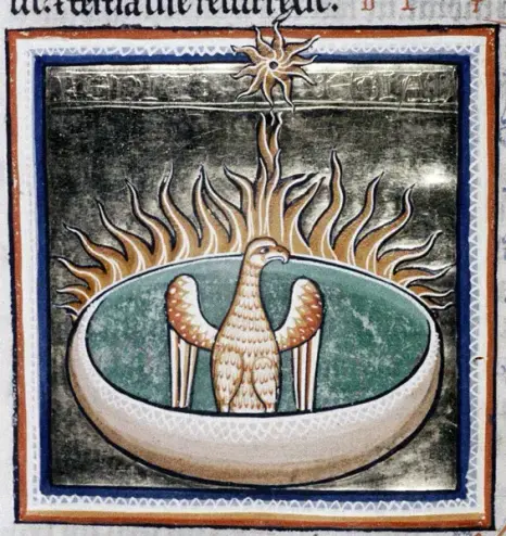 A medieval manuscript image of a white phoenix with cream/brown highlights in a bowl surrounded by flames with a sun symbol above. The phoenix is looking to the right expressionlessly as it burns.