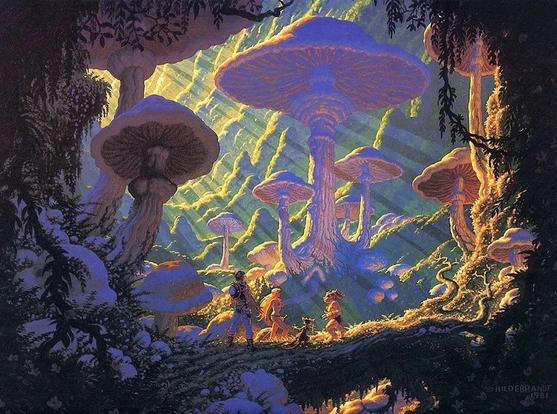 Tim & Greg Hildebrandt - 1981