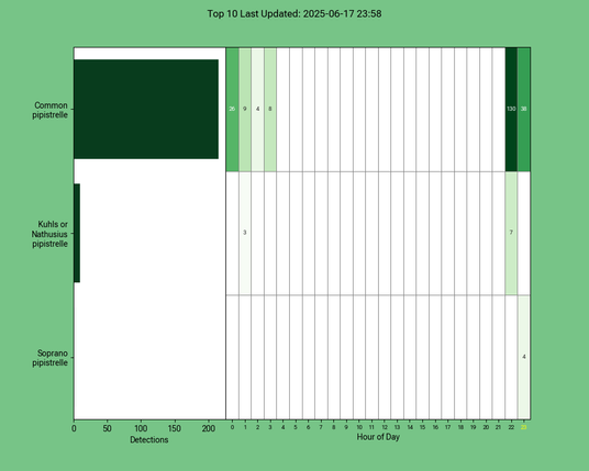 Diagramm der Fledermäuse vom 17.06.2025