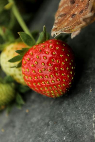 Strawberry as an ingredient of the Owl & Bee Body scrub