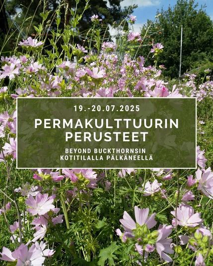 Permakulttuurin perusteet heinäkuussa
