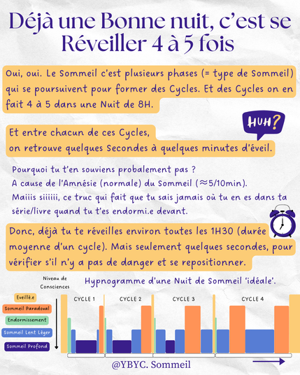  Déjà une Bonne nuit, c’est se Réveiller 4 à 5 fois

Oui, oui. Le Sommeil c’est plusieurs phases (= type de Sommeil) qui se poursuivent pour former des Cycles. Et des Cycles on en fait 4 à 5 dans une Nuit de 8H.

Et entre chacun de ces Cycles, on retrouve quelques Secondes à quelques minutes d’éveil.

 

Donc, déjà tu te réveilles environ toutes les 1H30 (durée moyenne d’un cycle). Mais seulement quelques secondes, pour vérifier s’il n’y a pas de danger et se repositionner.

Pourquoi tu t’en souviens probalement pas ?

A cause de l’Amnésie (normale) du Sommeil (≈5/10min).
Maiiis siiiiii, ce truc qui fais que tu sais jamais où tu en es dans ta série/livre quand tu t’es endormi.e devant.