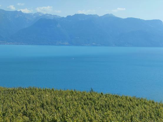 Geneva Lake from the Lavaux region vineyards. Green and blue