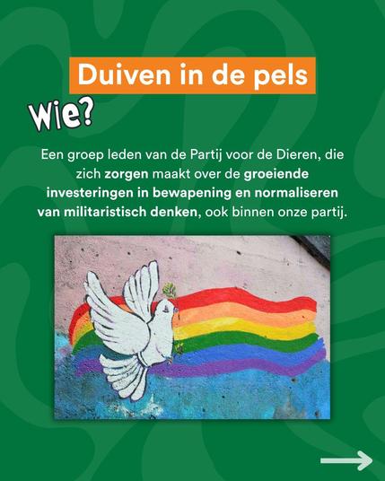 Een foto van straatkunst met een vredesduif en een regenboog. De titel  is: "Wie? Duiven in de pels." Eronder staat: "Een groep leden van de  Partij voor de Dieren, die zich zorgen maakt over de groeiende  investeringen in bewapening en normaliseren van militaristisch denken,  ook binnen onze partij."
