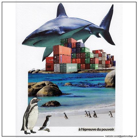 Ne pas se tromper de prédateur...
[ À l'épreuve du pouvoir ] Collage papiers sur papier, 21x29,7cm, 2025
En savoir plus : wp.me/P6JVyV-40X
(ce collage est également présenté à la vente dans l'exposition LA COLLECTIVE... été 2025, à la @N5GALERIE jusqu'au 19 juillet 2025) 