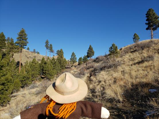 Ranger Sarah's climb along the trail continues. The trail is up hill all the way to the Wilderness Boundary.
— at Helena-Lewis and Clark National Forest.
