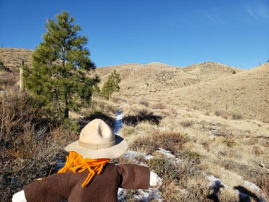 Ranger Sarah feels that she must be getting close to the Wilderness Boundary, not much mountain left to climb.
— at Helena-Lewis and Clark National Forest.

