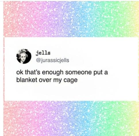 @jurassicjells on Twitter
ok that's enough someone put a blanket over my cage