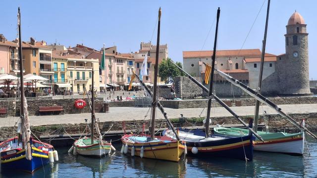 Barques de vels llatina al port de Cotlliure