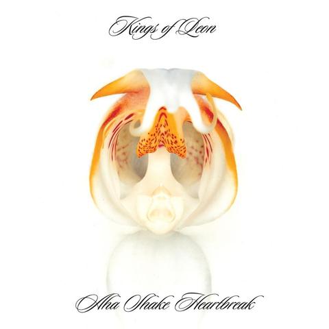 An image of the cover of the album 'Aha Shake Heartbreak' by Kings of Leon
