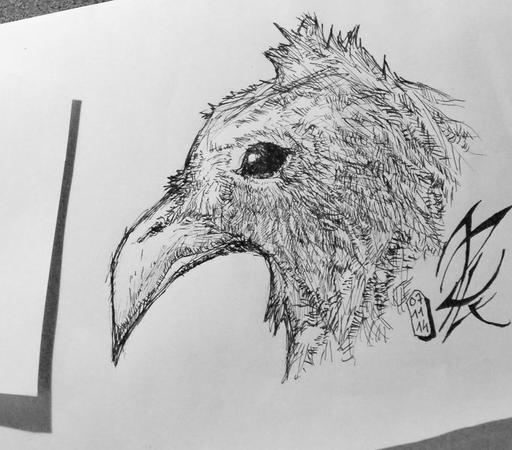 Griffouillage d'une tête d'oiseau de profil, un gros bec et une petite houppette sur le haut du crâne