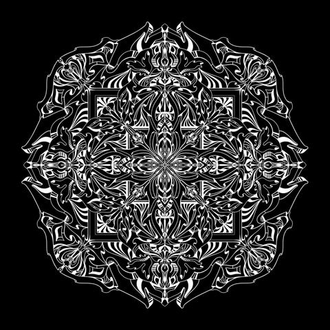 White on black background raster art mandala with myriad highly detailed abstract and stylized organic art nouveau, art deco styled elements emanating outwards from the centre in numerous inner mandalic sections.