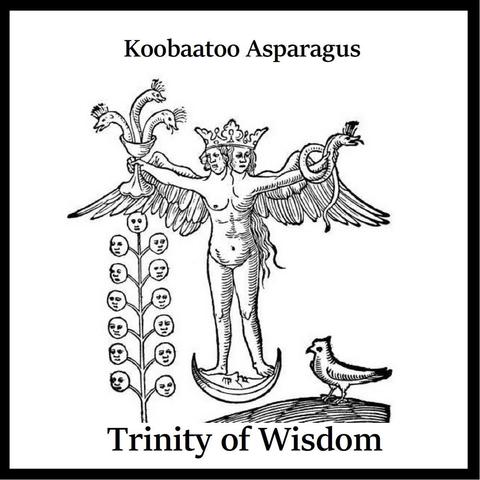 Koobaatoo Asparagus - Trinity of Wisdom