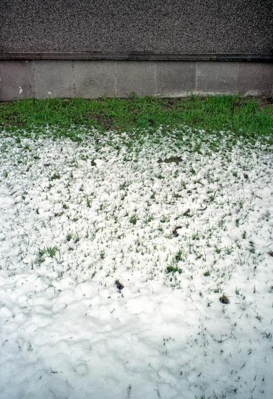 The photo shows white, wet snow, with a strip of green grass sticking out from under it. The lower part of the gray granite building is visible behind the grass.