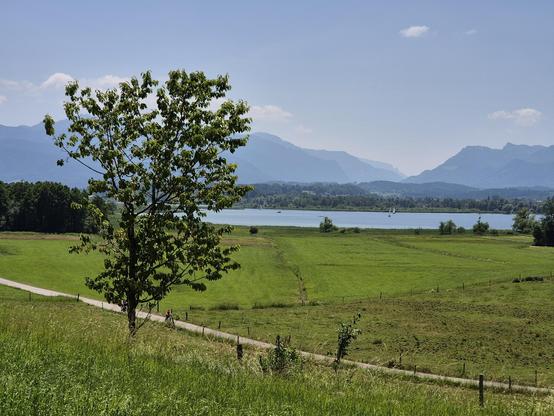 A serene and picturesque scene unfolds before us, as we gaze upon a green field that stretches out into the distance. In the foreground, a majestic tree stands tall, its branches reaching towards the sky. Nearby, a tranquil lake glistens under the sunlight, reflecting the clear blue sky above. The grassy meadow is dotted with various plants, adding to the beauty of the landscape. The overall atmosphere is peaceful and inviting, making it the perfect spot for a leisurely stroll or a moment of qu…