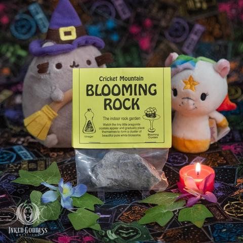 A single pouch of the "Blooming Rock" product is propped on a colorful cloth with small witchy stuffed toys behind it. The rock itself is in a clear bag and is shades of grey. It has a yellow label stapled to the top of the bag that reads, "Cricket Mountain / Blooming Rock / The indoor rock garden / Watch the tiny little aragonite crystals appear and gradually place themselves to form a cluster of beautiful pure white blossoms." Presented by Inked Goddess Creations.