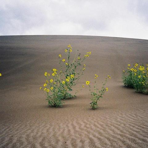 An image of the cover of the album 'SO THIS IS LIVING' by Barbara